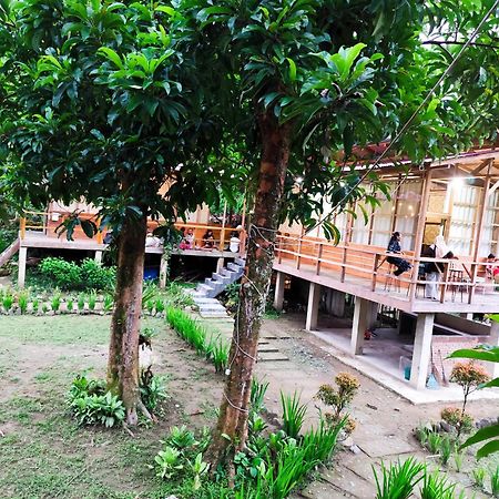 Bua Guesthouse Tangkahan ภายนอก รูปภาพ
