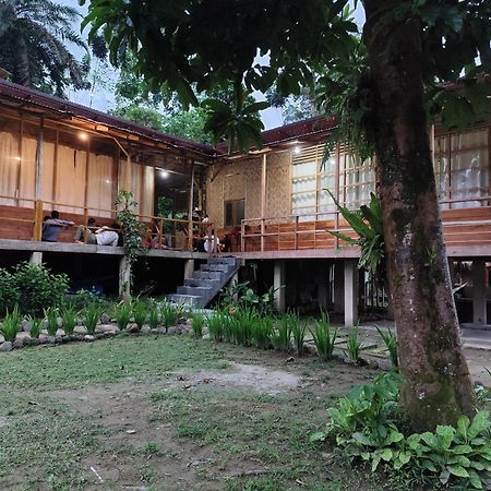 Bua Guesthouse Tangkahan ภายนอก รูปภาพ