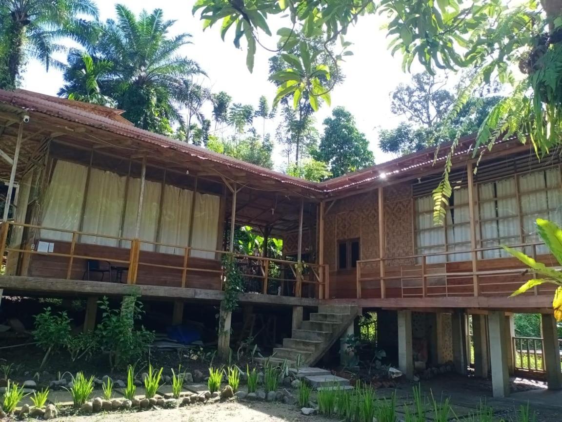 Bua Guesthouse Tangkahan ภายนอก รูปภาพ
