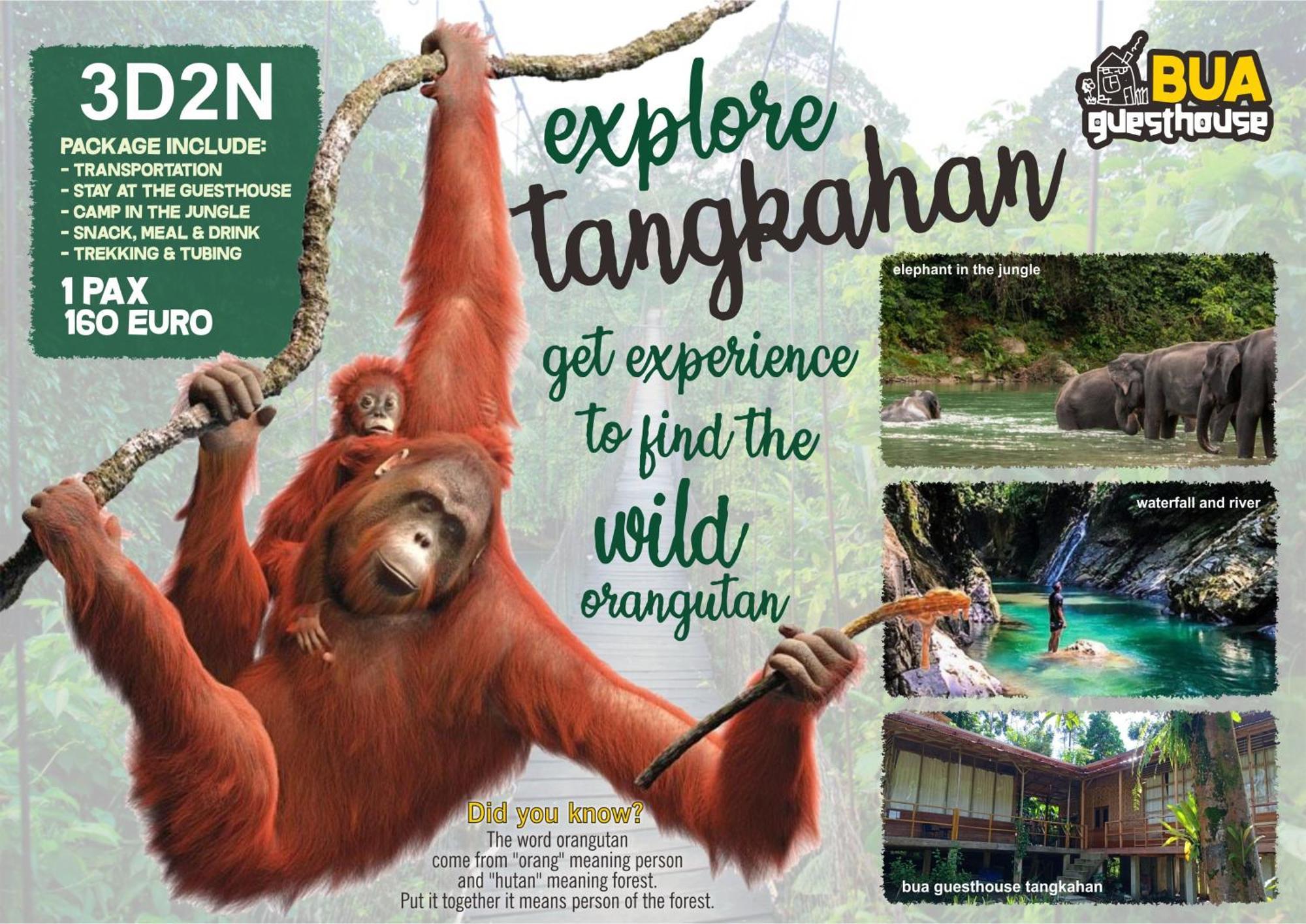 Bua Guesthouse Tangkahan ภายนอก รูปภาพ