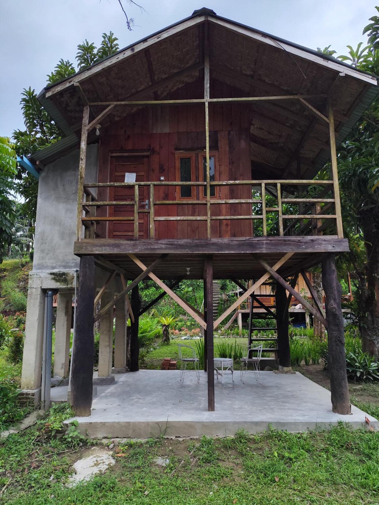Bua Guesthouse Tangkahan ภายนอก รูปภาพ