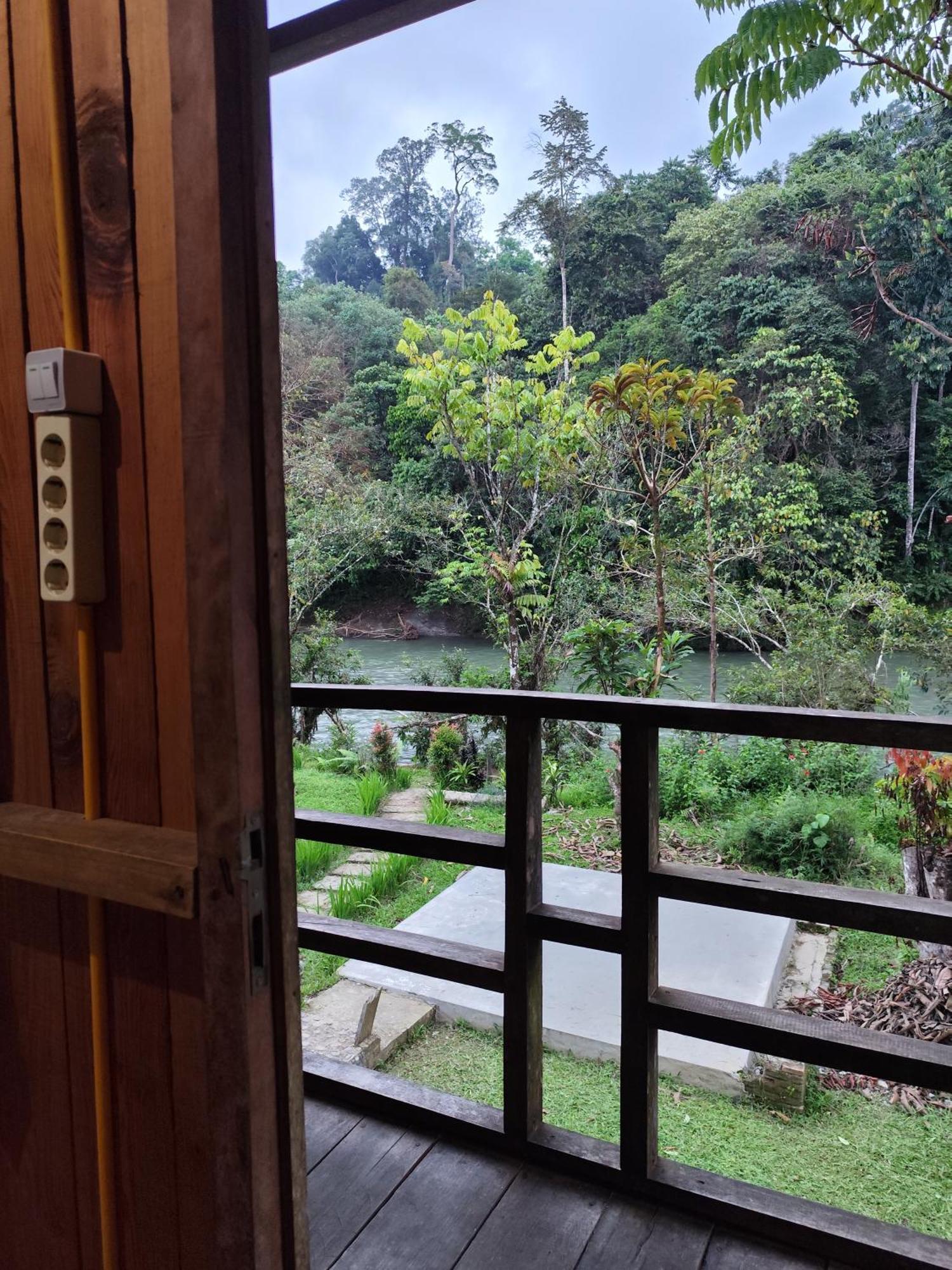 Bua Guesthouse Tangkahan ภายนอก รูปภาพ
