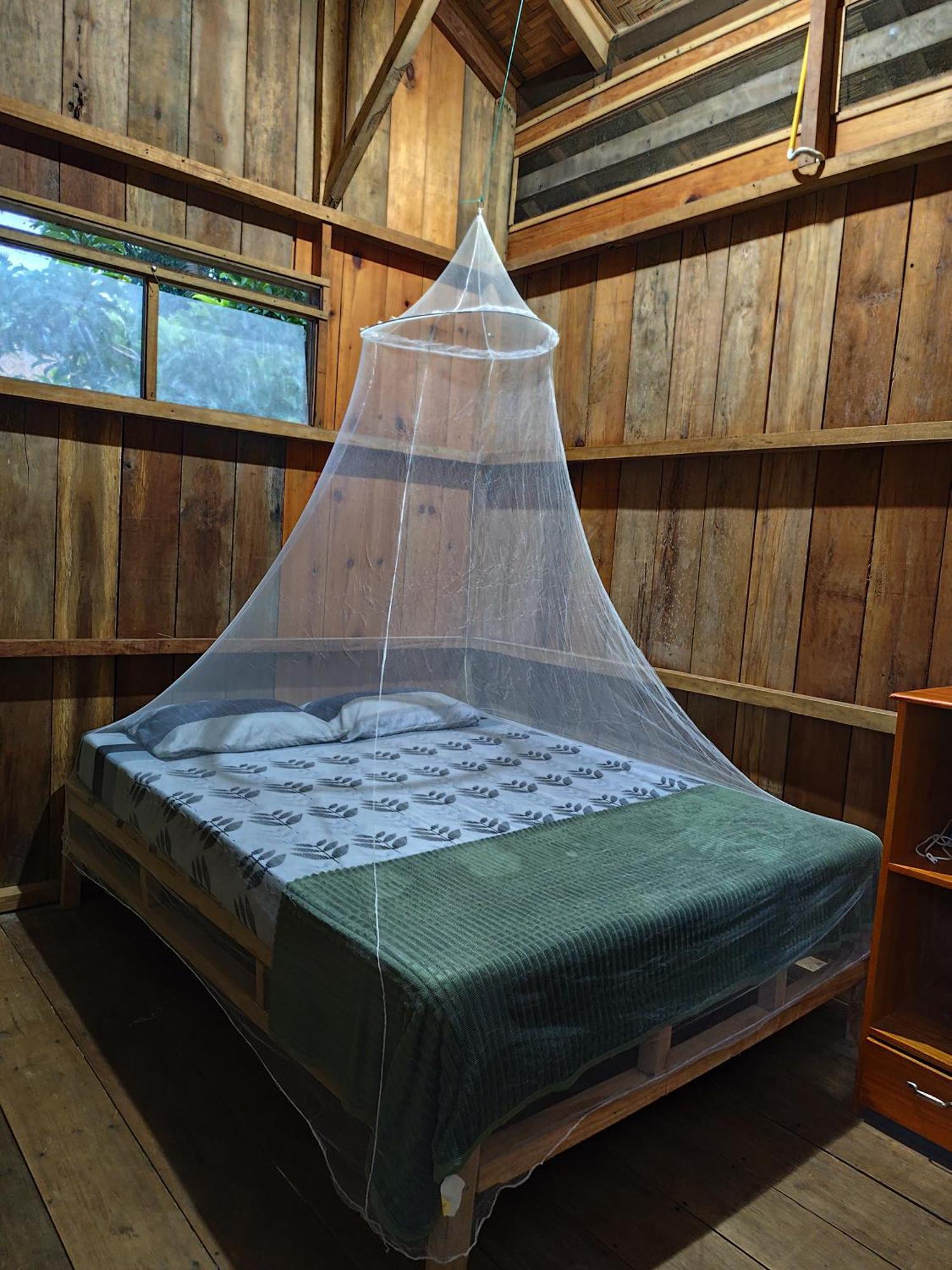 Bua Guesthouse Tangkahan ภายนอก รูปภาพ