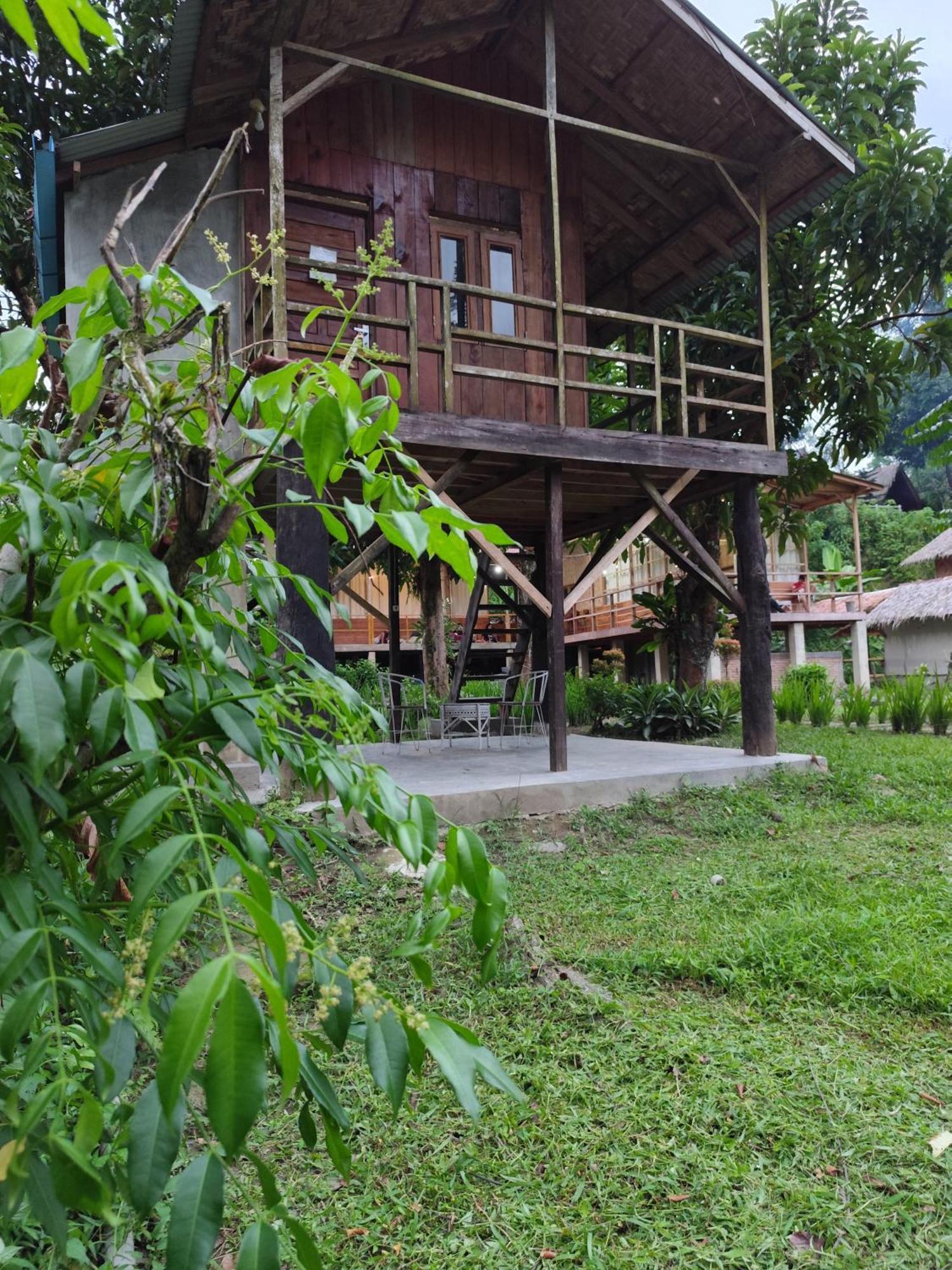 Bua Guesthouse Tangkahan ภายนอก รูปภาพ